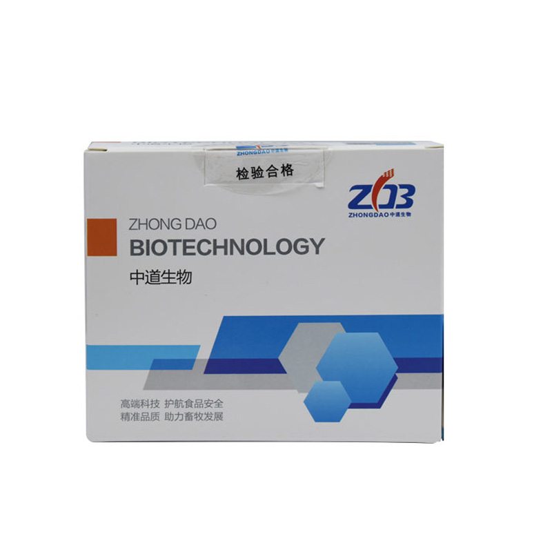 猪瘟免提取试剂